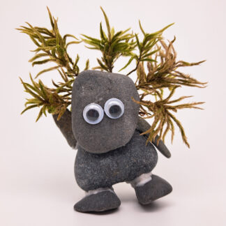 Palmtree